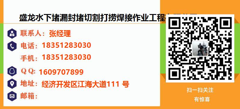[南京]盛龙水下堵漏封堵切割打捞焊接作业工程有限公司名片