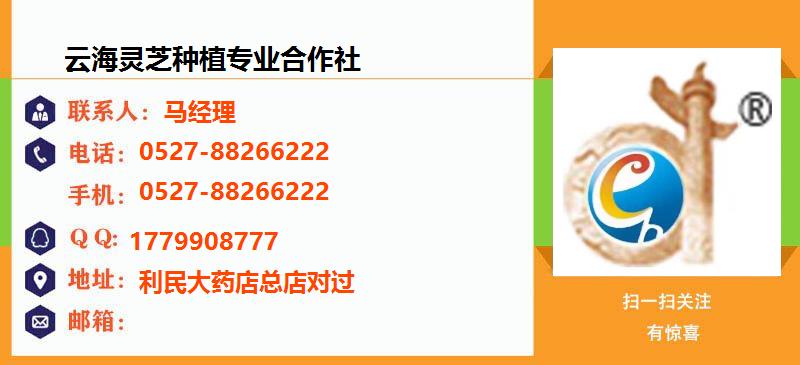 [扬州]云海灵芝种植专业合作社名片